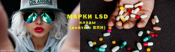 шишки Белокуриха