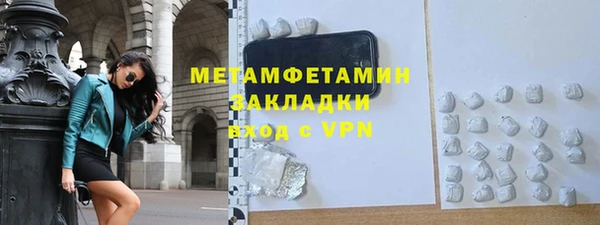шишки Белокуриха