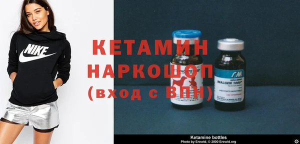 шишки Белокуриха