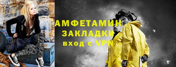 шишки Белокуриха