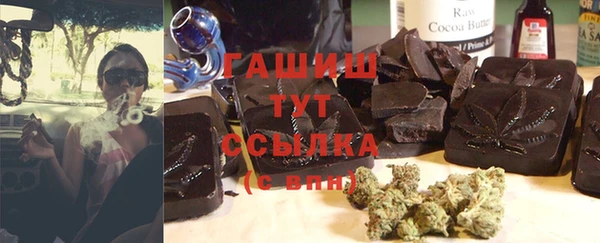 шишки Белокуриха