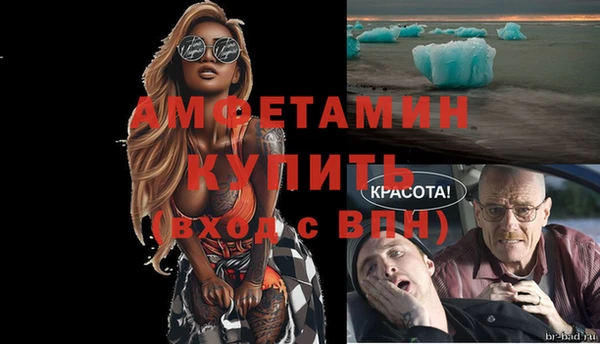 шишки Белокуриха