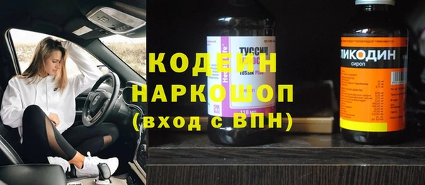 шишки Белокуриха